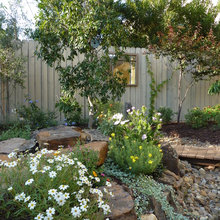 Rock Garden Design