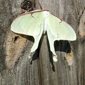 Martha Henley's photo