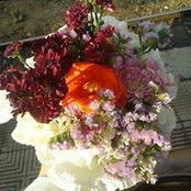 Foto von Alaa Saad