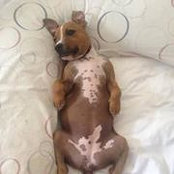 Jason Teasdale's photo