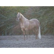 Alessandro Uleri's photo