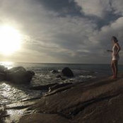 Taylors foto
