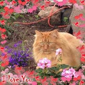 Michelle Cross's photo
