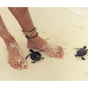 Agnes Strauss's photo