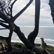 Laura G.'s photo