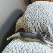 Doris Paulson's photo