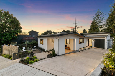 Inspiration for a modern home design remodel in San Francisco