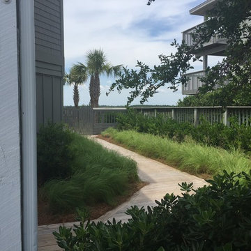 AFTER Photo - Side Yard
