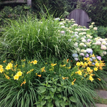 Various Plantings