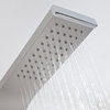 Lustre Stainless Steel Shower Panel