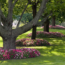 Gardens Direct Landscape