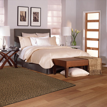 Modern Room Scenes
