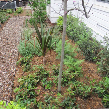 A wrap around garden with a fabulous water featurel!
