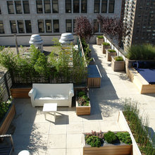 Landscape Ideas
