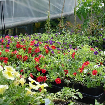 New England Landscaping