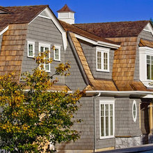 Shingle Color