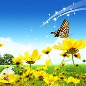 Grace Hayek's photo