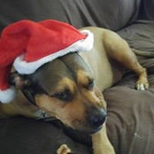 Vera Chachere's photo