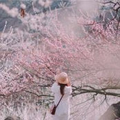 Foto von 혜명 함