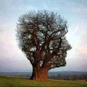 Louis Morin's photo