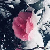 Photo de Dodie Anderson