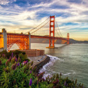 Michelle Hamdani's photo