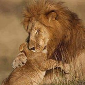 Bonnie Curtis's photo