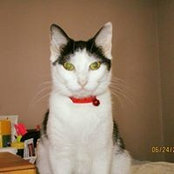 Susan Stevens's photo