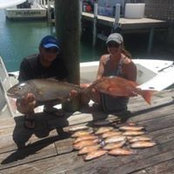 Kim Alcorn's photo
