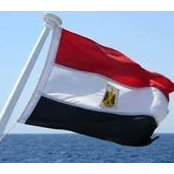 Nabil Saadallah's photo
