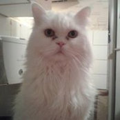 Birgit Krajewski's photo