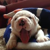 DeAndre Porter's photo