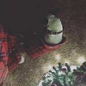 Megan Curran's photo
