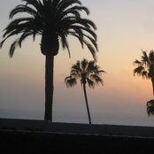 giovana mcgettrick's photo