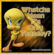 Darrell Moore Sr.'s photo