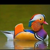 Mary Nylund's photo