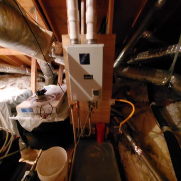 Tankless Hot water Heater Flushed Clean
