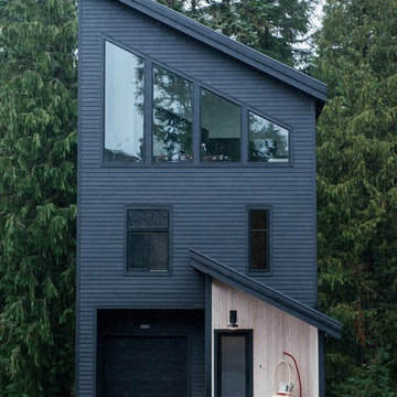 ALPINE NOIR CHALET : GOVERNMENT CAMP, OREGON