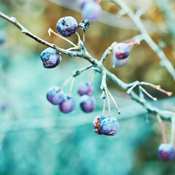 Houzz Tours Maja Egelund