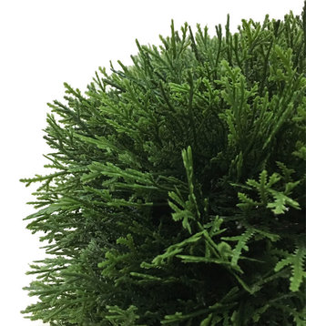 Vickerman Green Cedar Hedge L24"xw12"xh12" UV