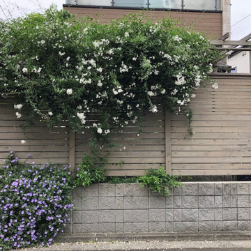 House_Eda_Garden