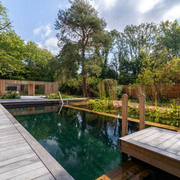 Dulwich Natural Pool