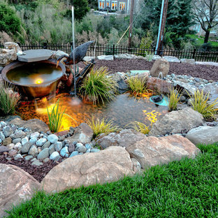 Mittelgroßer Eklektischer Garten hinter dem Haus mit Wasserspiel, direkter Sonneneinstrahlung und Mulch in Charlotte