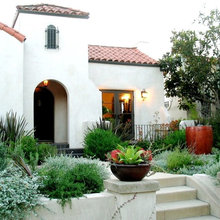 Landscape Ideas