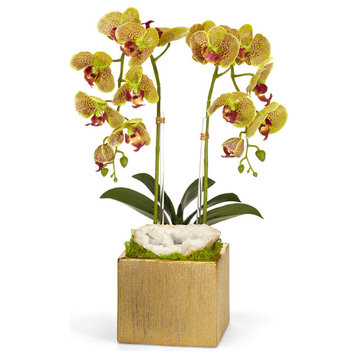 Doubl White Orchid in Gold Square, Green