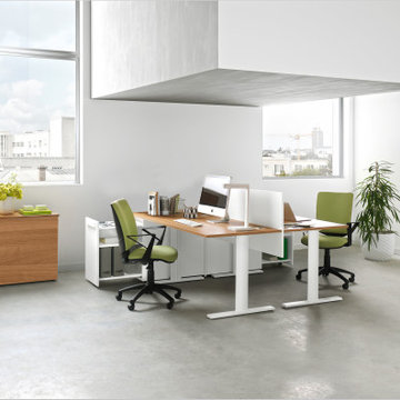 Office Collections