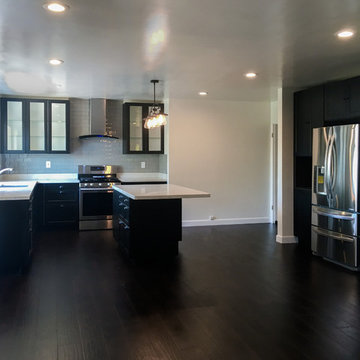 Baldwin Hills Kitchen Renovation