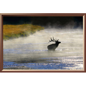 Sylvie Whale Tail in the Ocean Framed Canvas Art, Gray, 18x24 - Beach Style  - Prints And Posters - by Uniek Inc. | Houzz