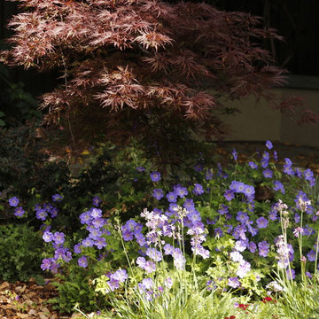 PETITE WILD MEADOW