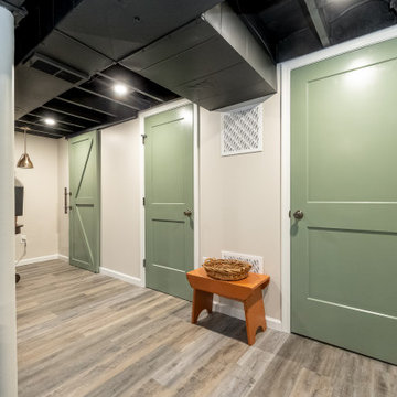 Basement Playroom in Springfield, PA